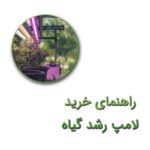 راهنمای خرید لامپ رشد گیاه و نحوه استفاده از آن
