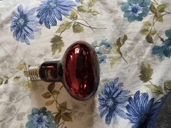 لامپ مادون قرمز 100 وات لاکی هرپ مدل INFRARED-220V-100W-E27 - Image 5