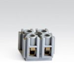 ترمینال زوجی سایز 2.5 رعد الکتریک