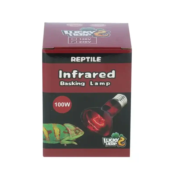 لامپ مادون قرمز 100 وات لاکی هرپ مدل INFRARED-220V-100W-E27 - Image 6