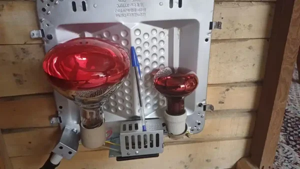 لامپ مادون قرمز 100 وات لاکی هرپ مدل INFRARED-220V-100W-E27 - Image 4