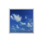 پنل 60 در 60 ال ای دی آسمان نما پارس شهاب