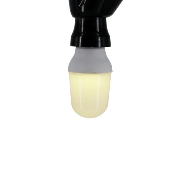 لامپ LED بلوطی ۱ وات پایه E27 پارس شعاع توس