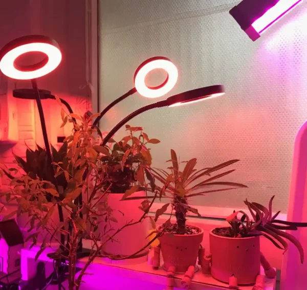 چراغ رشد گیاه 40 وات مدل Quad Circle - Image 18