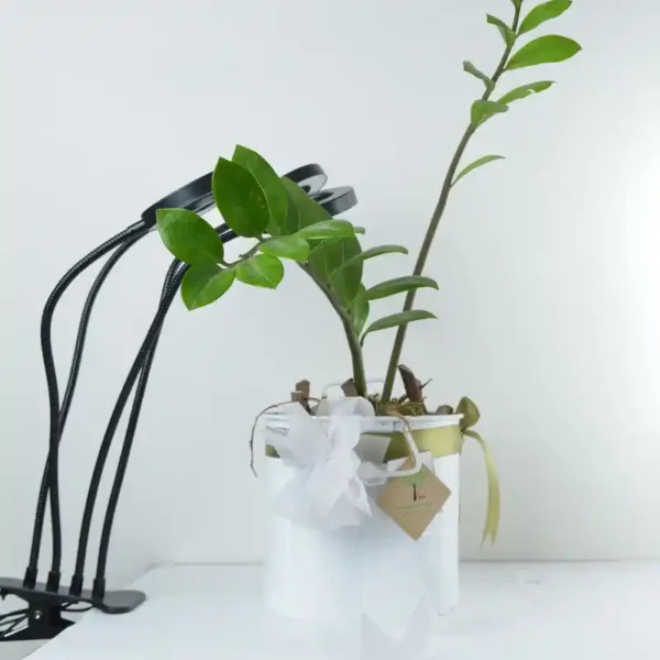 چراغ رشد گیاه 40 وات مدل Quad Circle - Image 20