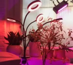 چراغ رشد گیاه 40 وات مدل Quad Circle - Image 4