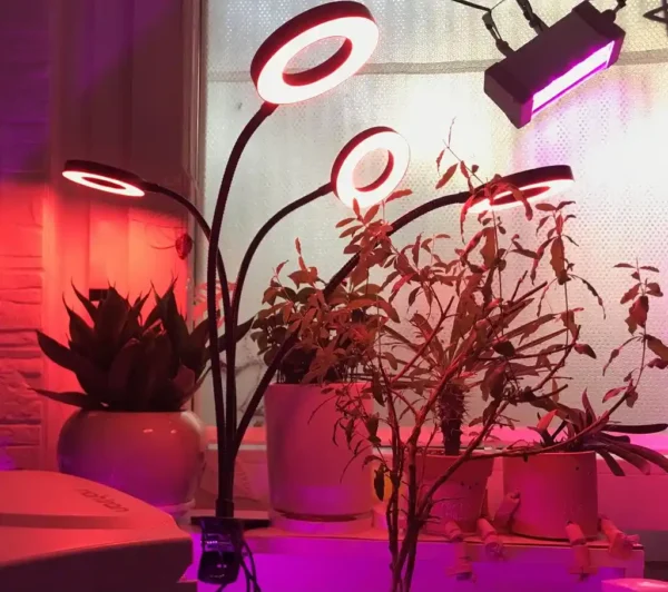 چراغ رشد گیاه 40 وات مدل Quad Circle - Image 4