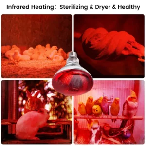 راهنمای استفاده از لامپ های مادون قرمز (حرارتی) در مرغداری ها و اماکن دامپروری 3 راهنمای استفاده از لامپ های مادون قرمز (حرارتی) در مرغداری ها و اماکن دامپروری