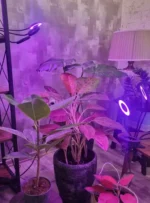 چراغ رشد گیاه 40 وات مدل Quad Circle - Image 9