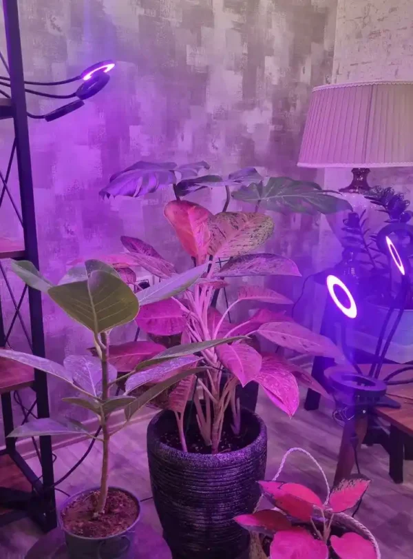 چراغ رشد گیاه 40 وات مدل Quad Circle - Image 9