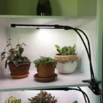 چراغ رشد گیاه 10 وات مدل Dual Head - Image 11