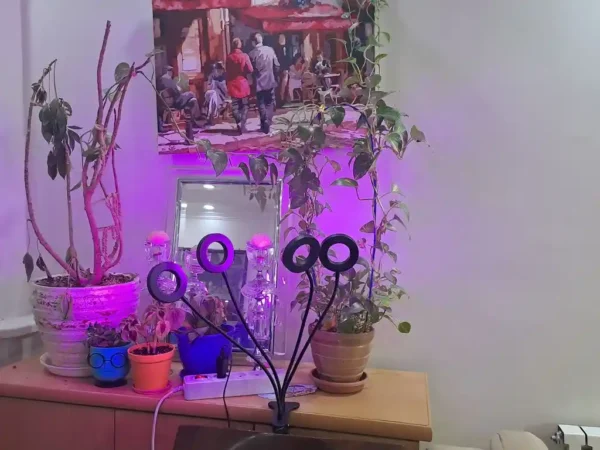 چراغ رشد گیاه 40 وات مدل Quad Circle - Image 11