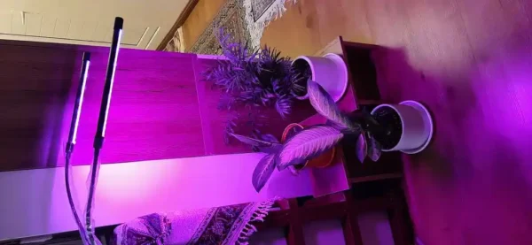 چراغ رشد گیاه 10 وات مدل Dual Head - Image 12