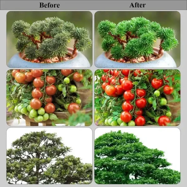 چراغ رشد گیاه 40 وات مدل Quad Circle - Image 12